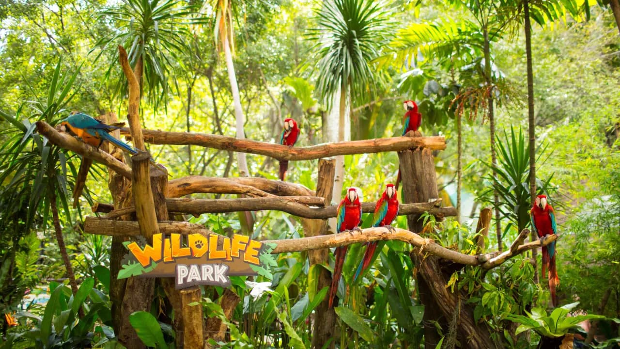Sunway Lagoon Theme Park Ticket - Photo 11