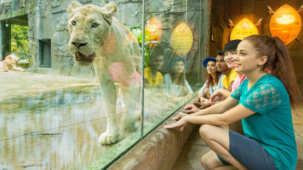 Sunway Lagoon Theme Park Ticket - Photo 74