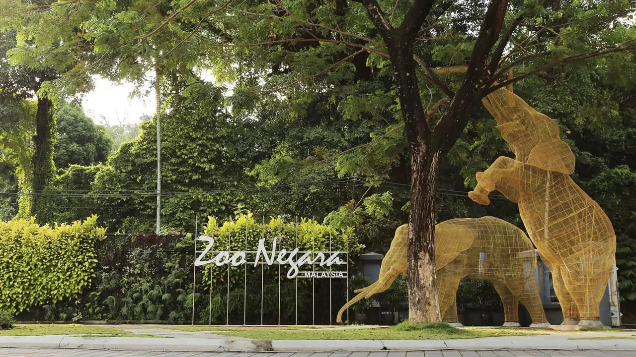 Zoo Negara Malaysia & & Panda Conservation Centre Ticket - Photo 22