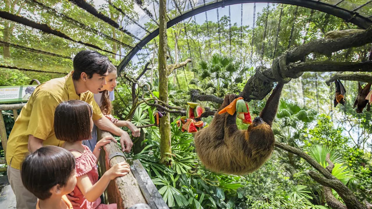 Singapore Zoo Ticket - Photo 1