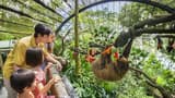 Singapore Zoo Ticket - Photo 18