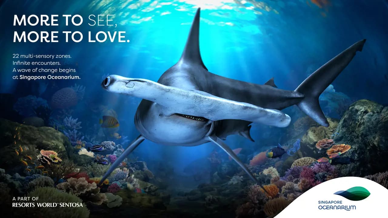 Singapore Oceanarium Ticket - Photo 6
