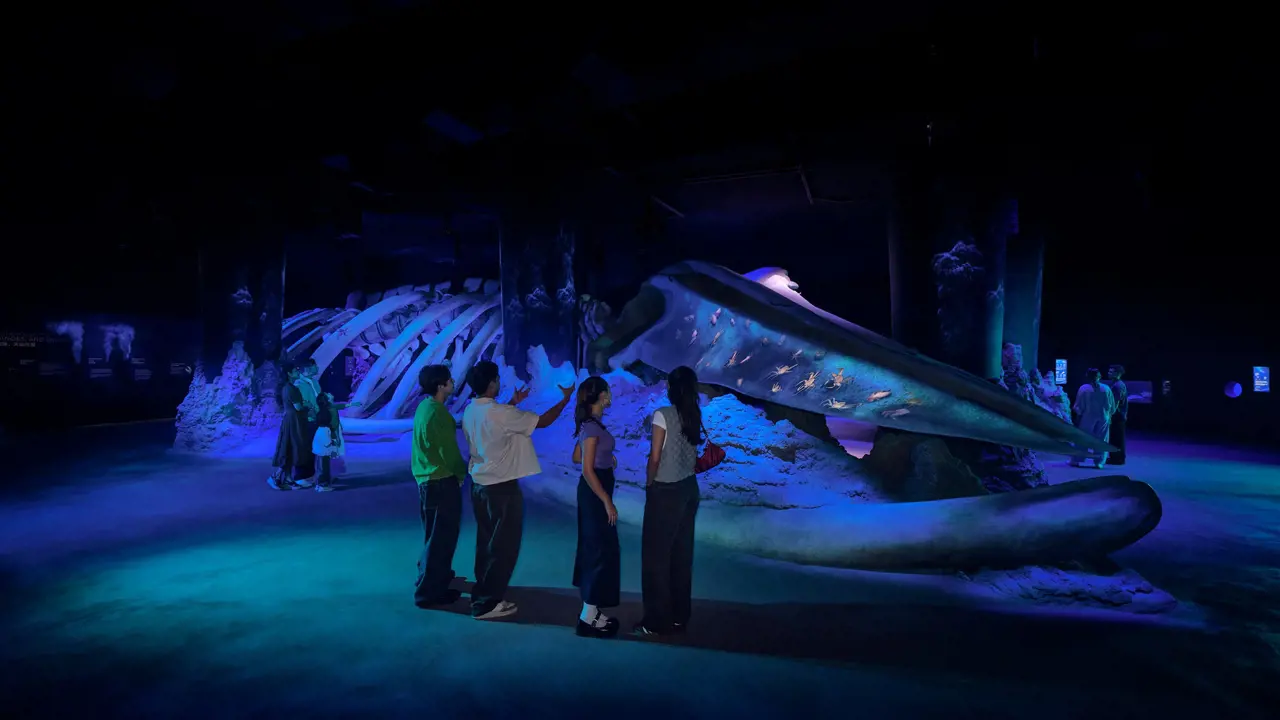 Singapore Oceanarium Ticket - Photo 7