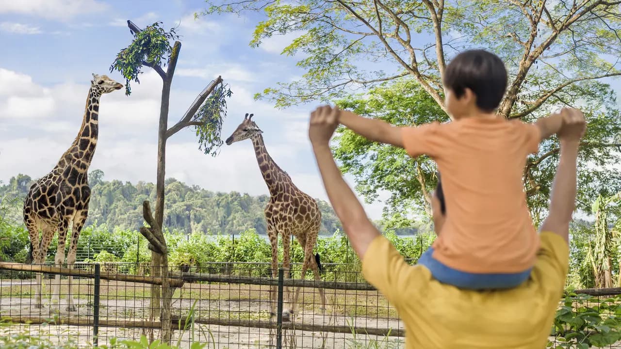 Singapore Zoo Ticket - Photo 3