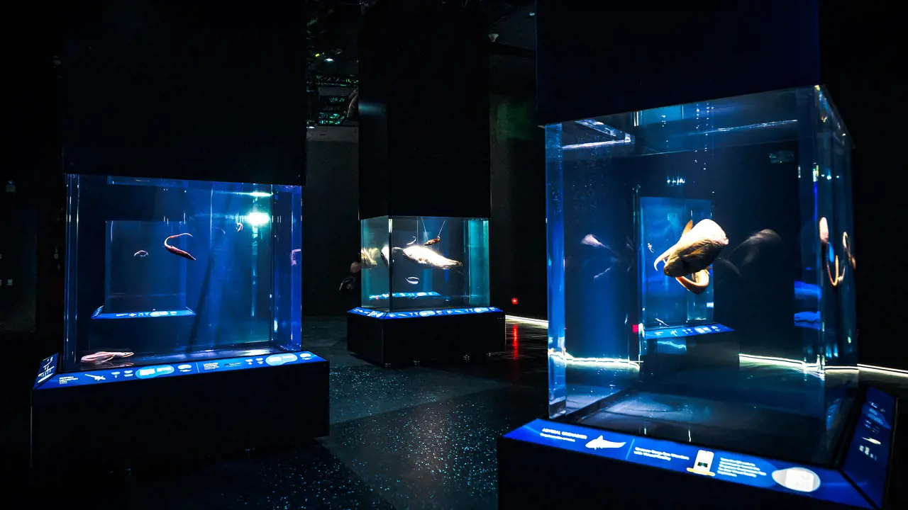 Singapore Oceanarium Ticket - Photo 8