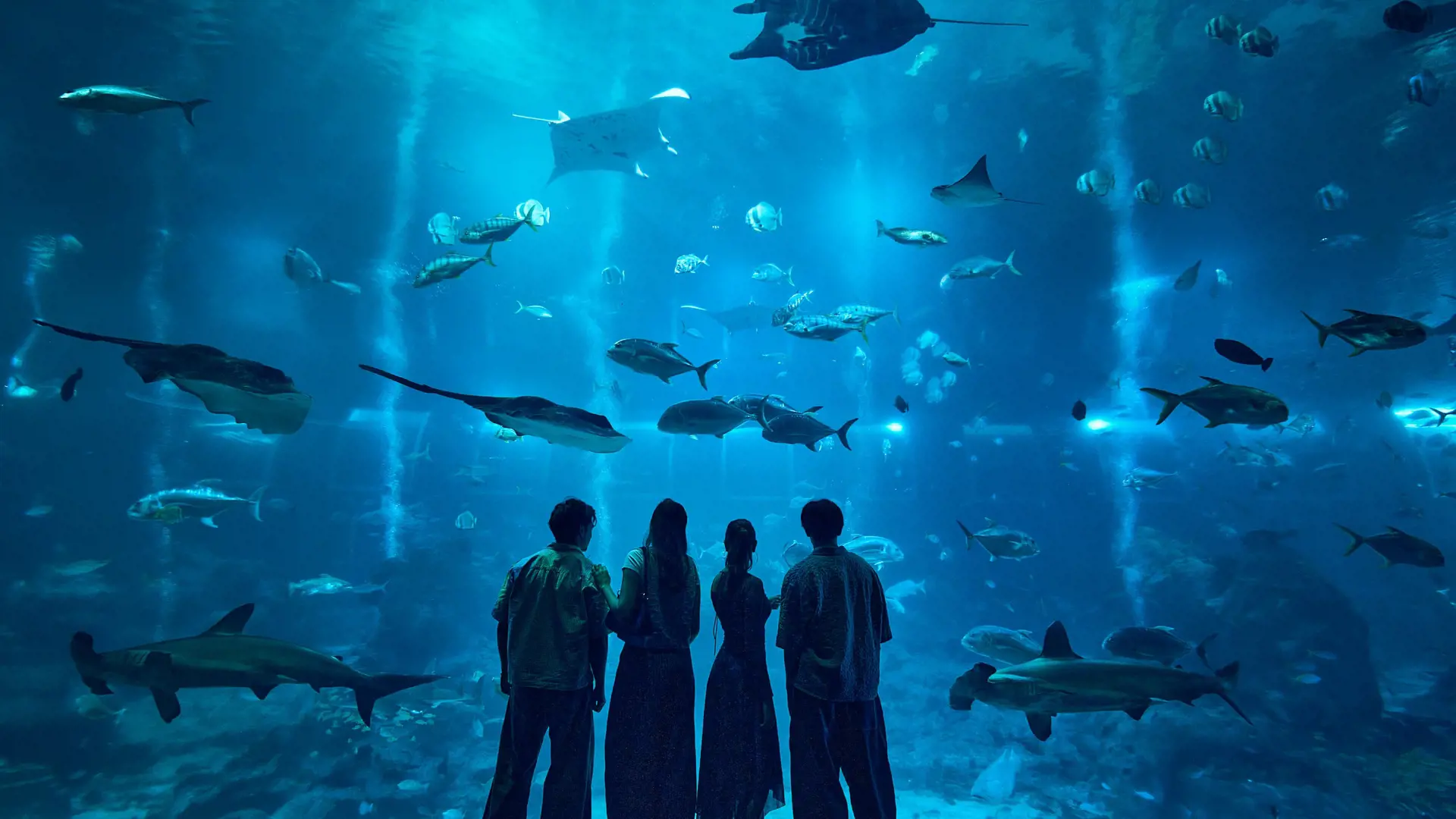 Singapore Oceanarium Ticket - Photo 31