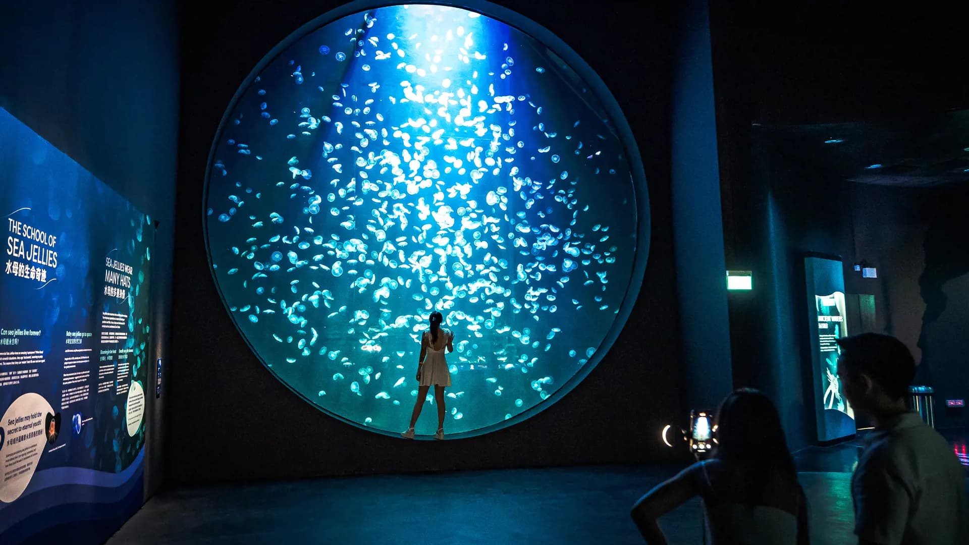 Singapore Oceanarium Ticket - Photo 32