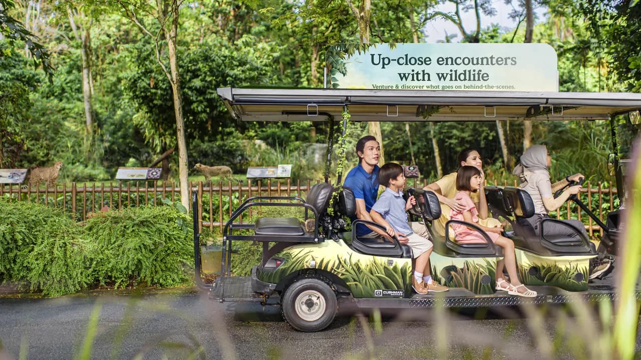 Singapore Zoo Ticket - Photo 6