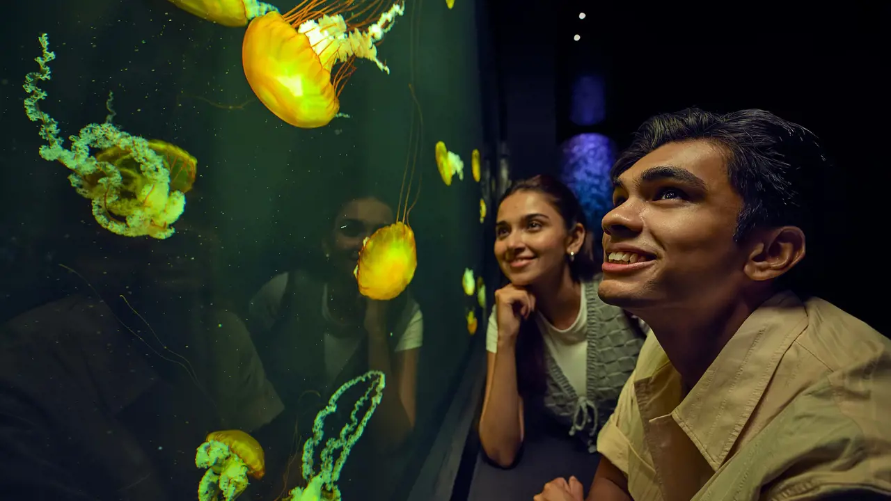 Singapore Oceanarium Ticket - Photo 11
