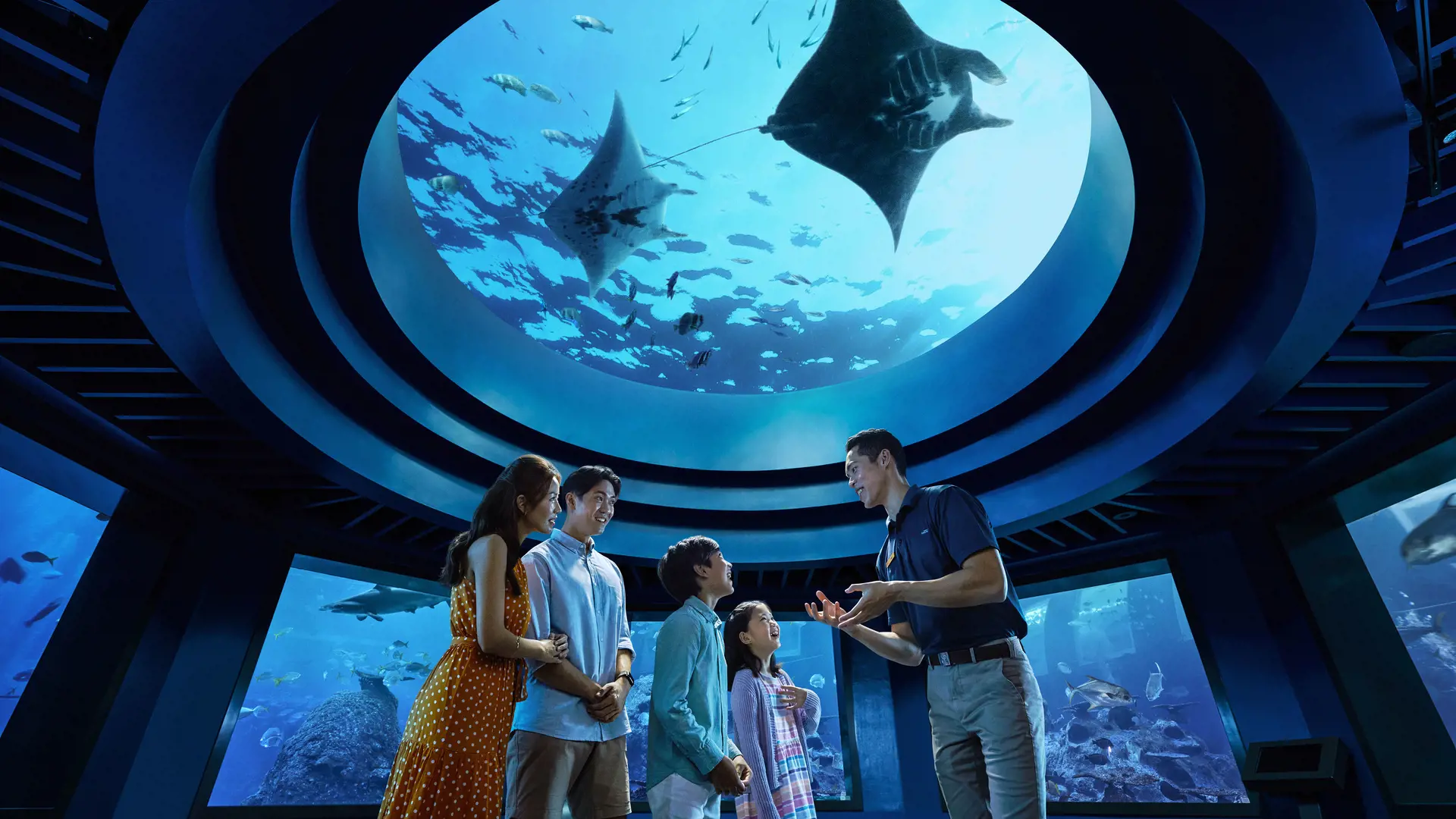 Singapore Oceanarium Ticket - Photo 34