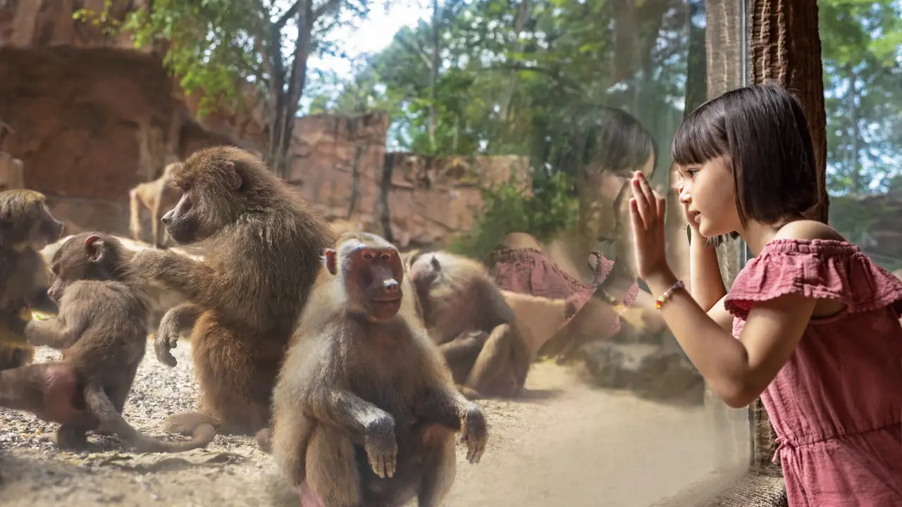 Singapore Zoo Ticket - Photo 8
