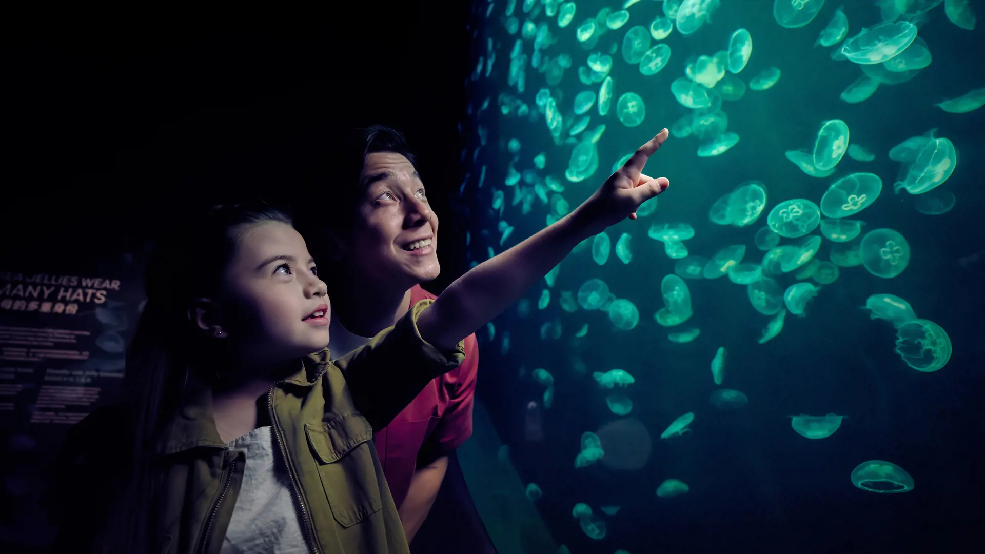 Singapore Oceanarium Ticket - Photo 35