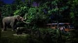 Singapore Night Safari Ticket - Photo 16