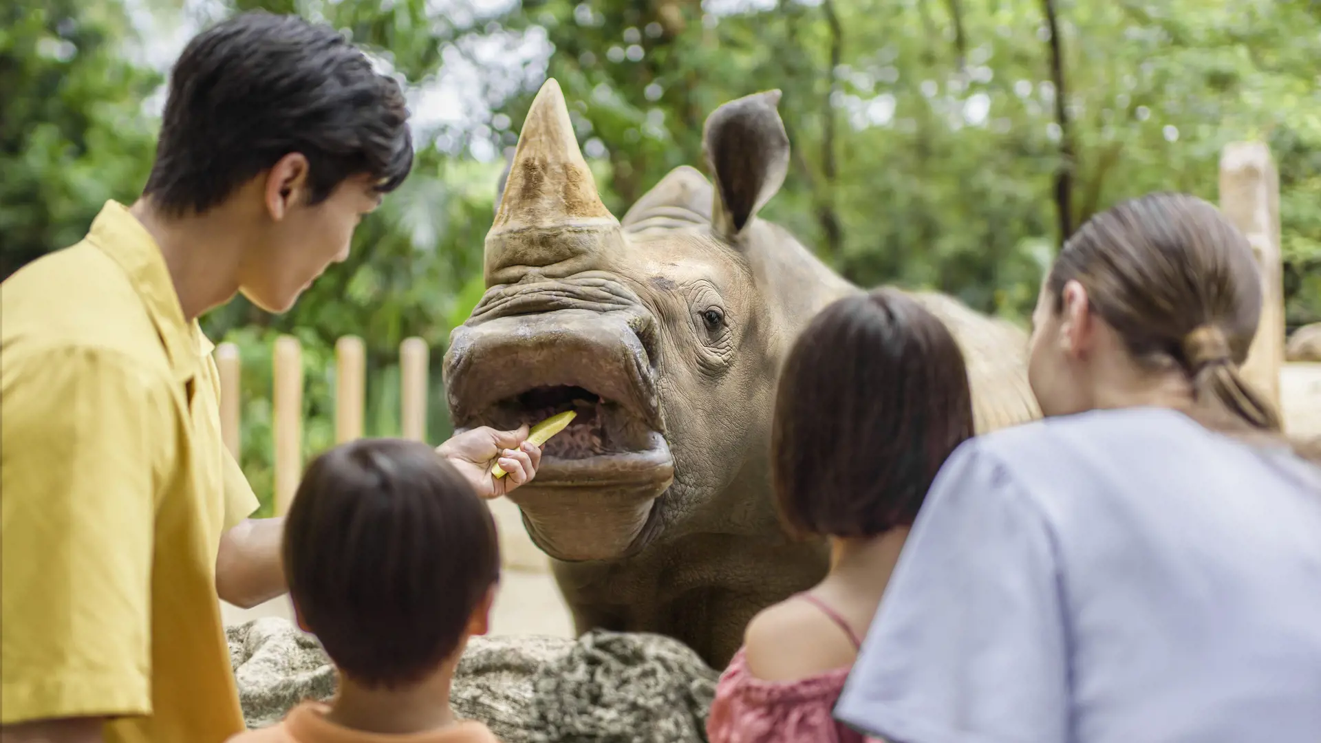 Singapore Zoo Ticket - Photo 29