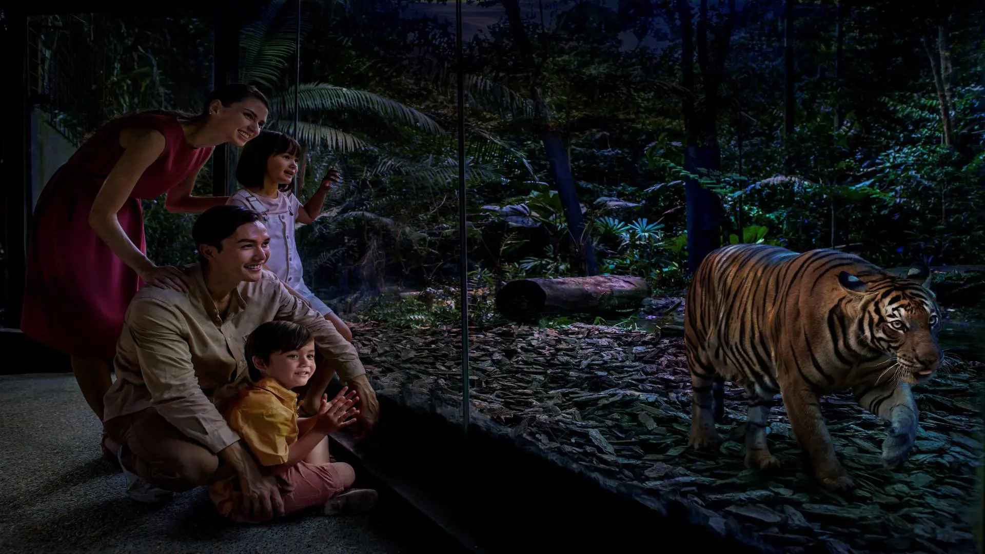 Singapore Night Safari Ticket - Photo 19