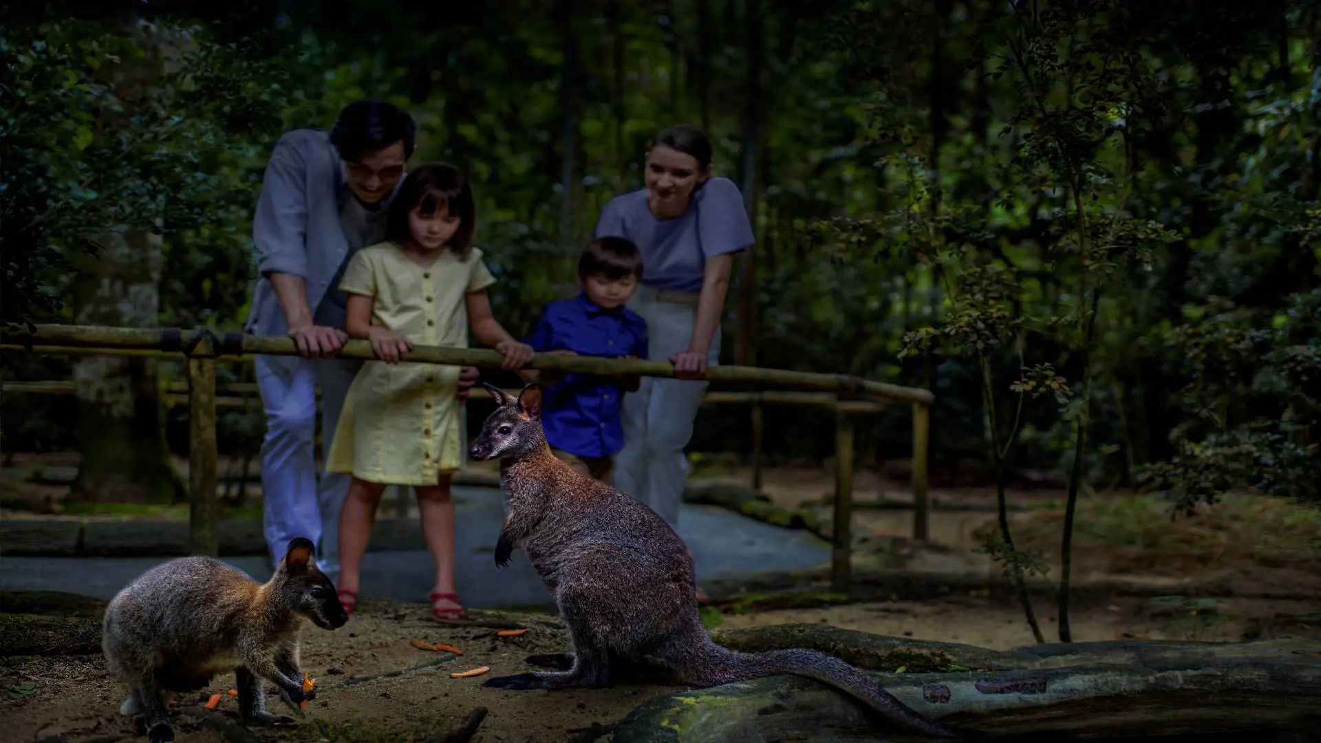 Singapore Night Safari Ticket - Photo 20