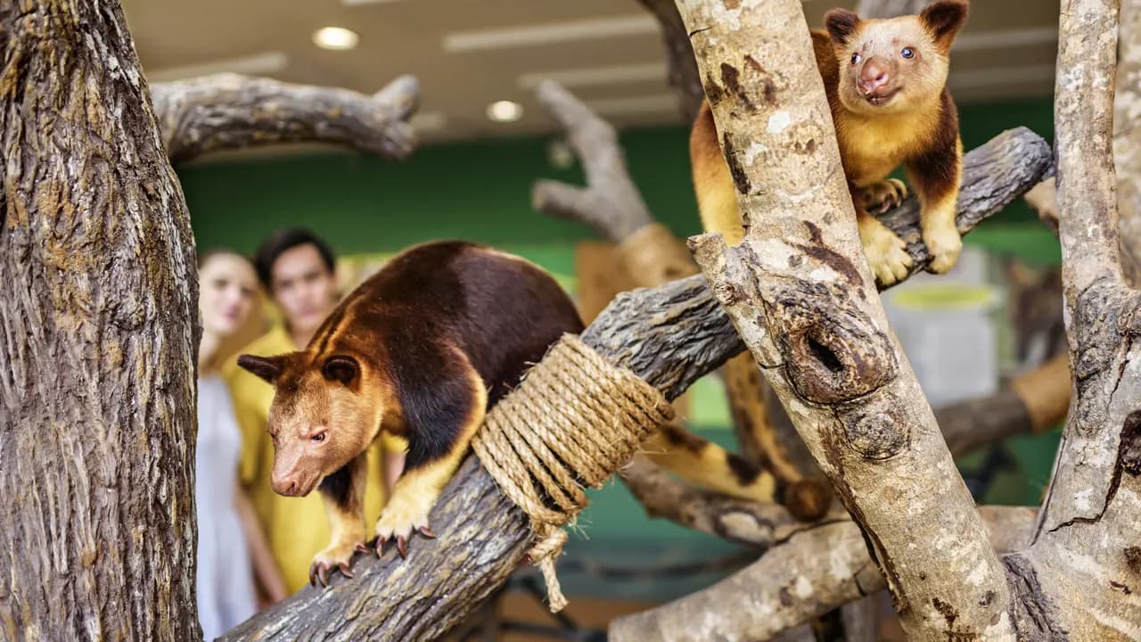 Singapore Zoo Ticket - Photo 15