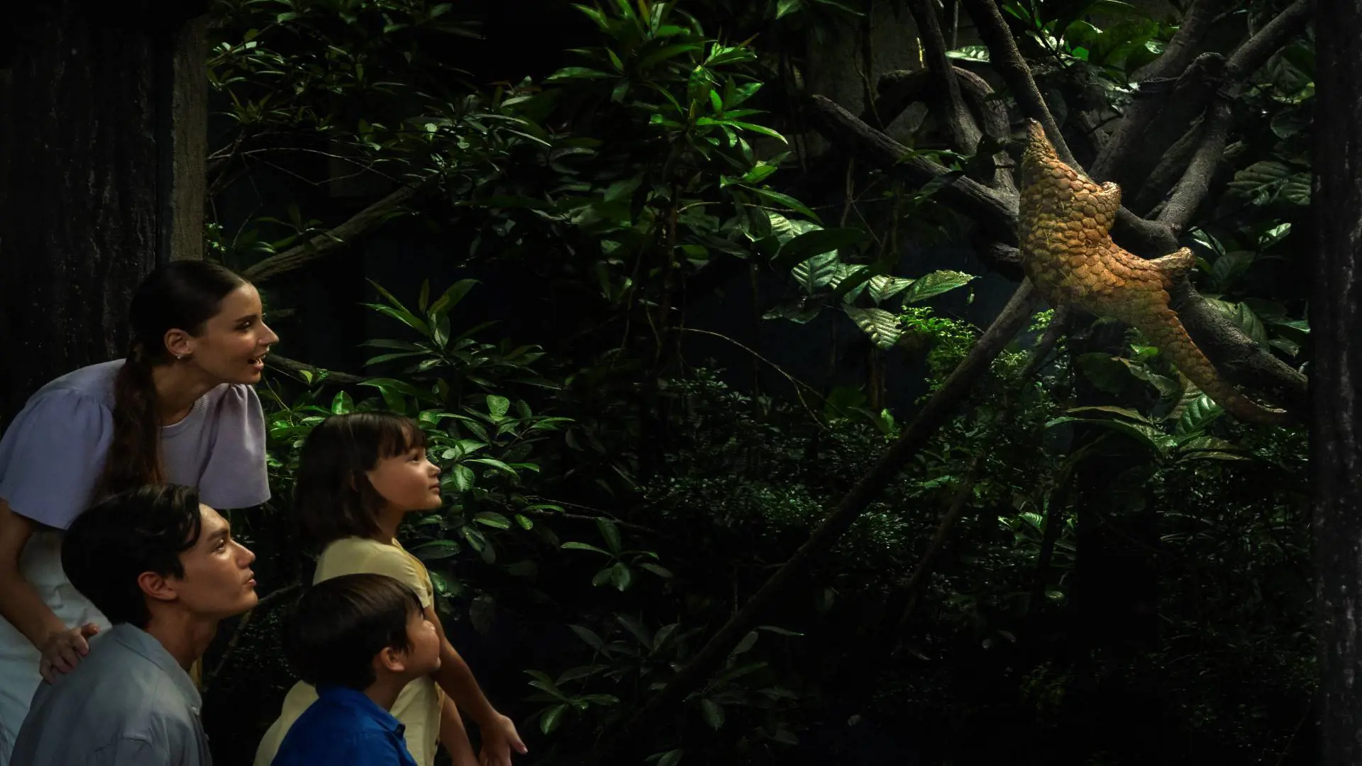 Singapore Night Safari Ticket - Photo 24