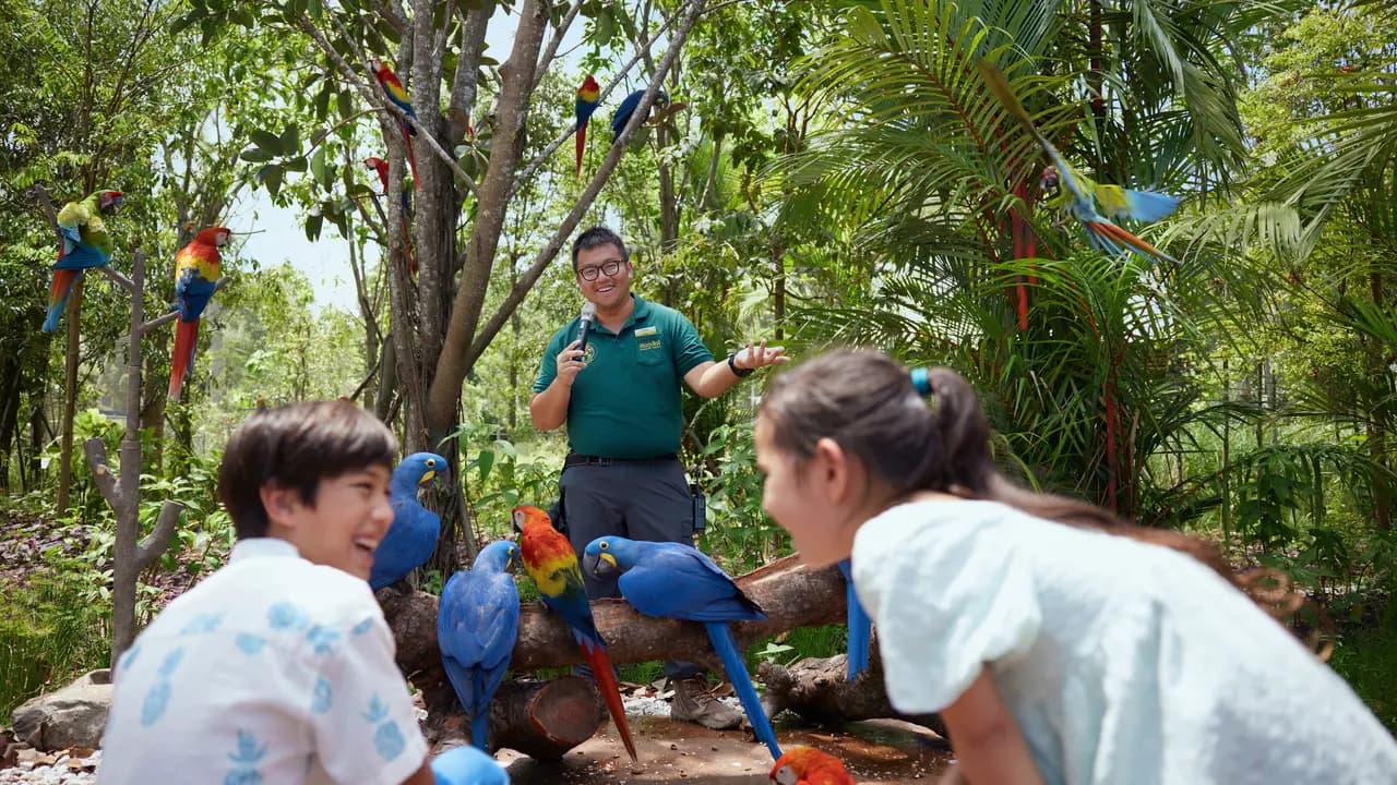 Singapore Bird Paradise Ticket - Photo 8