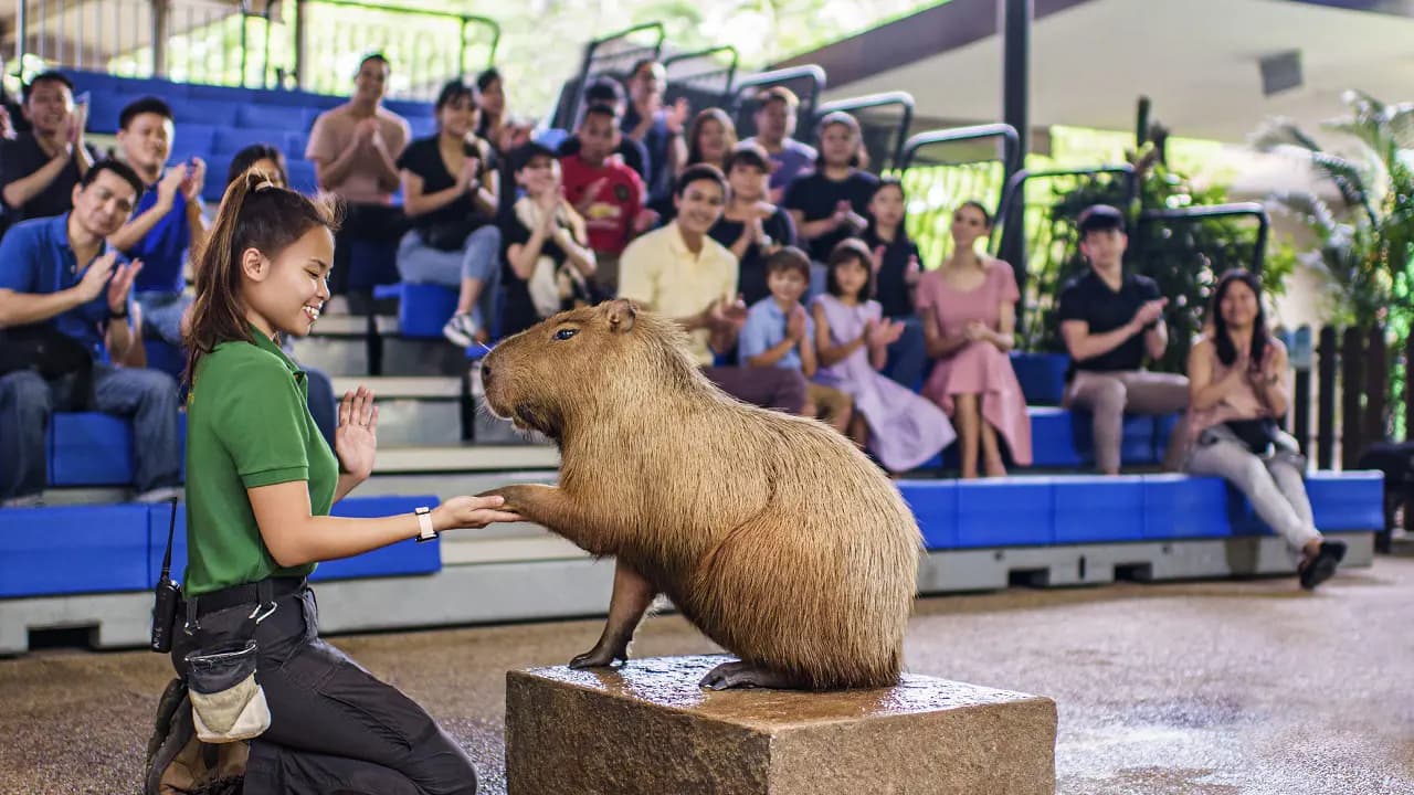 River Wonders Singapore Ticket - Photo 9