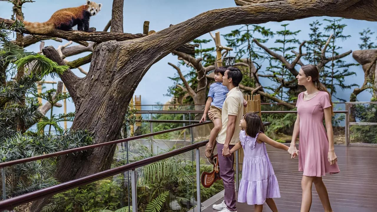 River Wonders Singapore Ticket - Photo 23