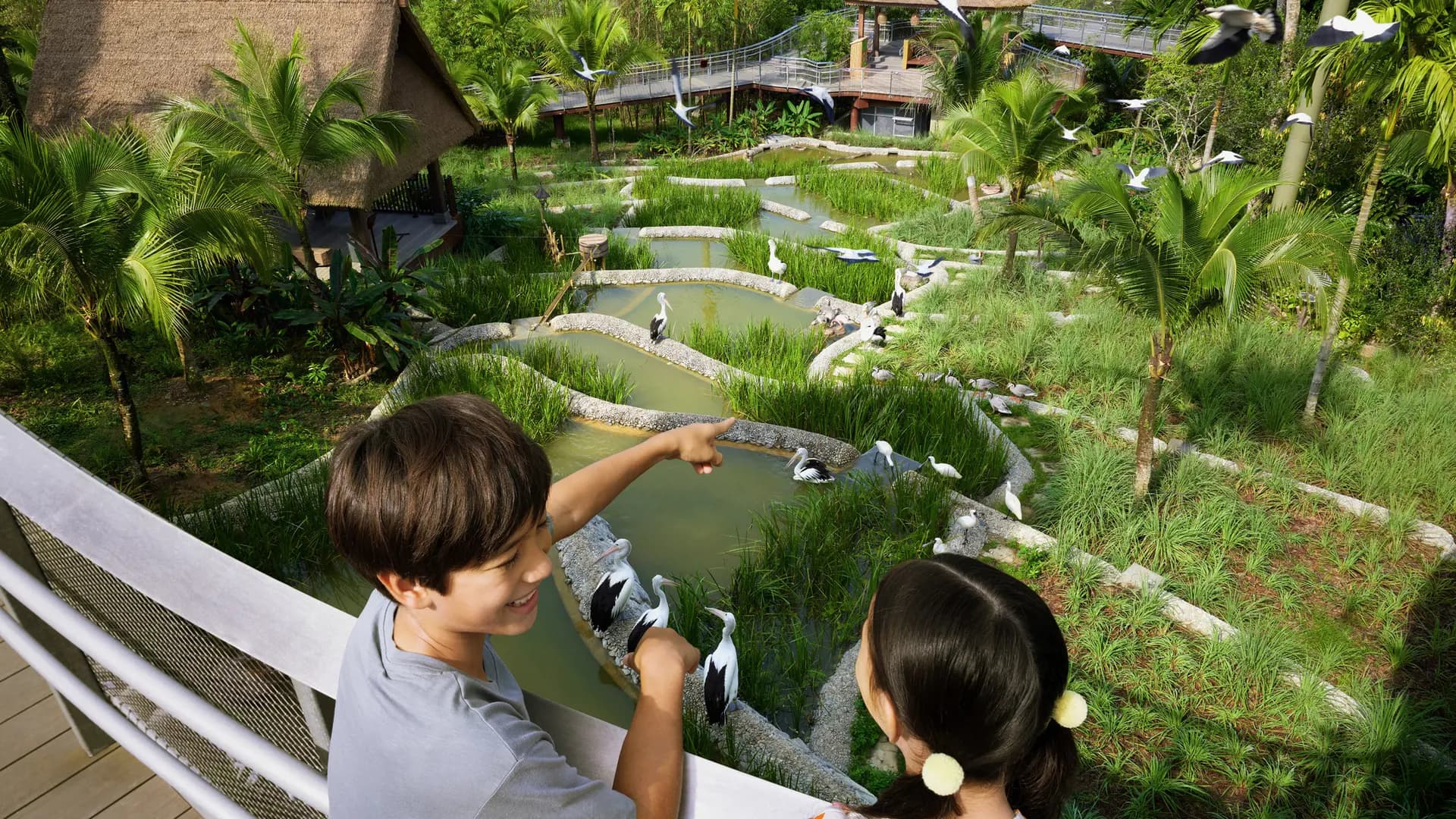 Singapore Bird Paradise Ticket - Photo 26