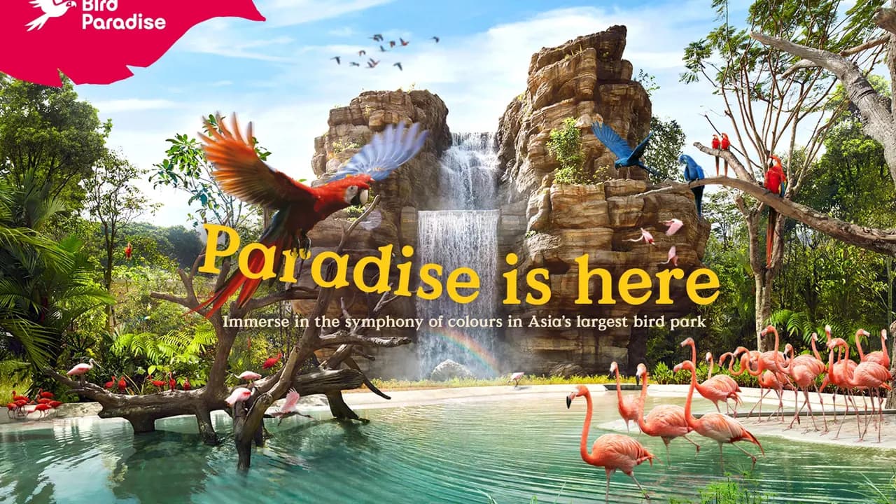 Singapore Bird Paradise Ticket - Photo 15