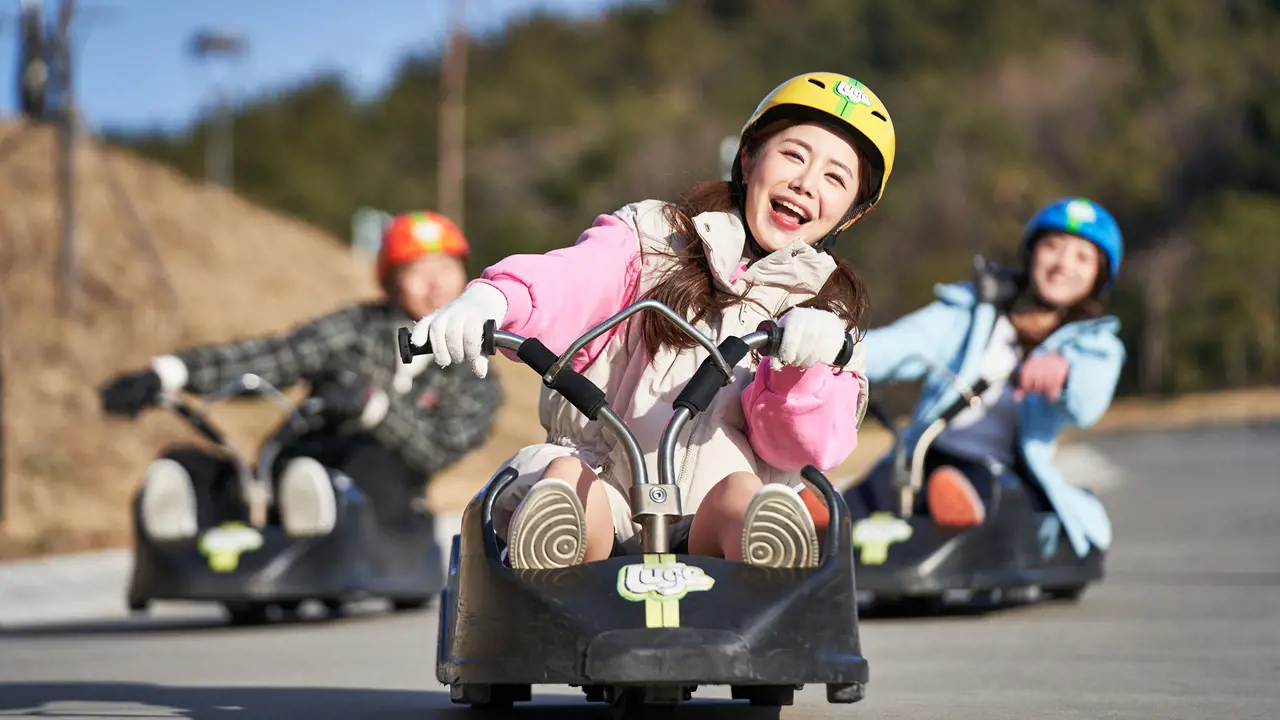 Skyline Luge Busan Ticket - Photo 14
