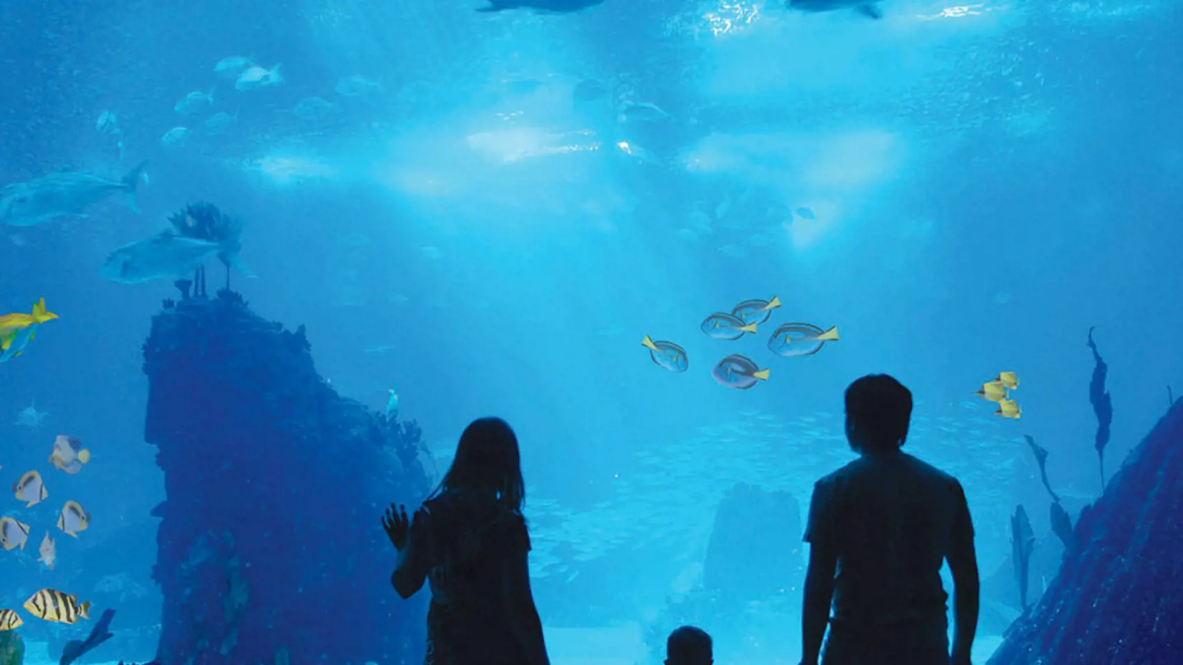 Antalya Aquarium and Face 2 Face Wax Museum Ticket - Photo 11