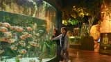 Emaar Aquarium and Underwater Zoo Ticket - Photo 7