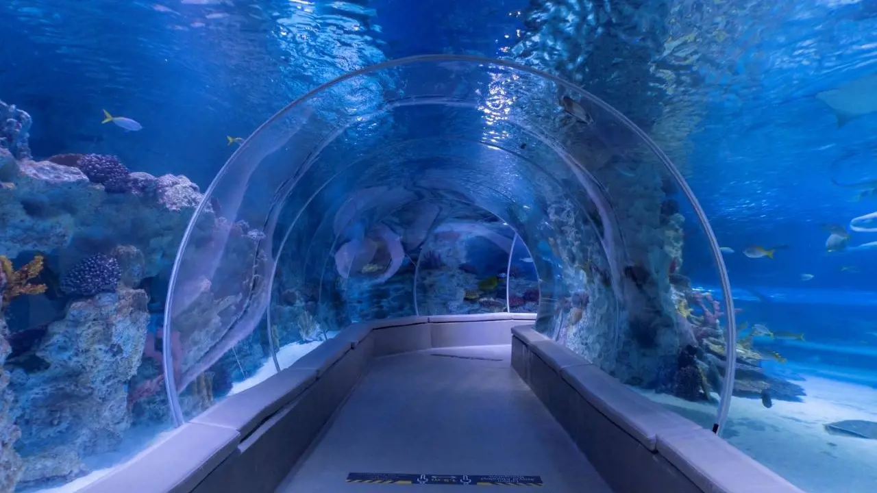 Emaar Aquarium and Underwater Zoo Ticket - Photo 2