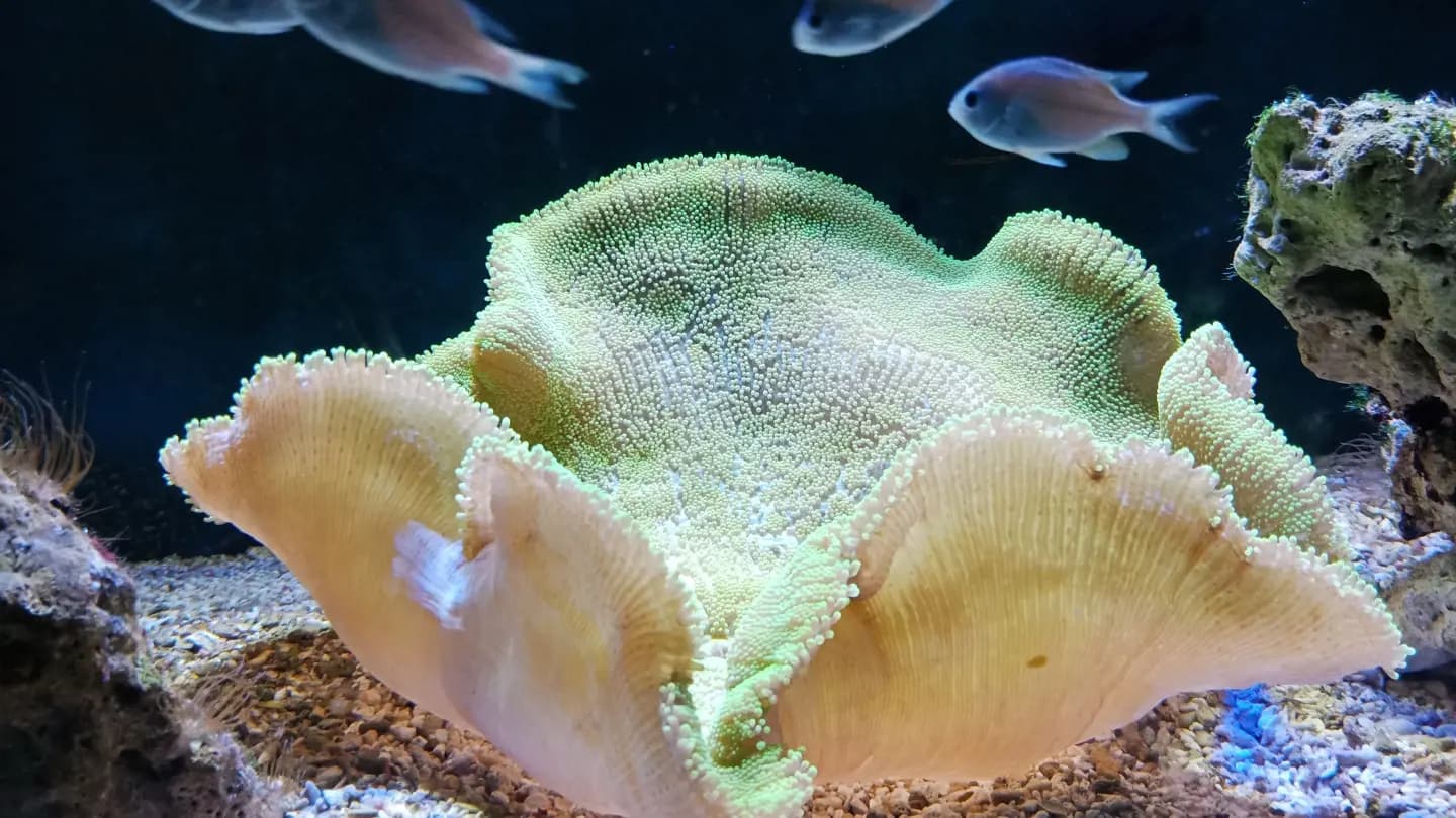 Underwater World Langkawi Ticket - Photo 25
