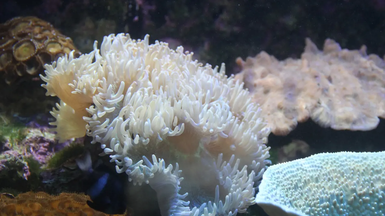 Underwater World Langkawi Ticket - Photo 6