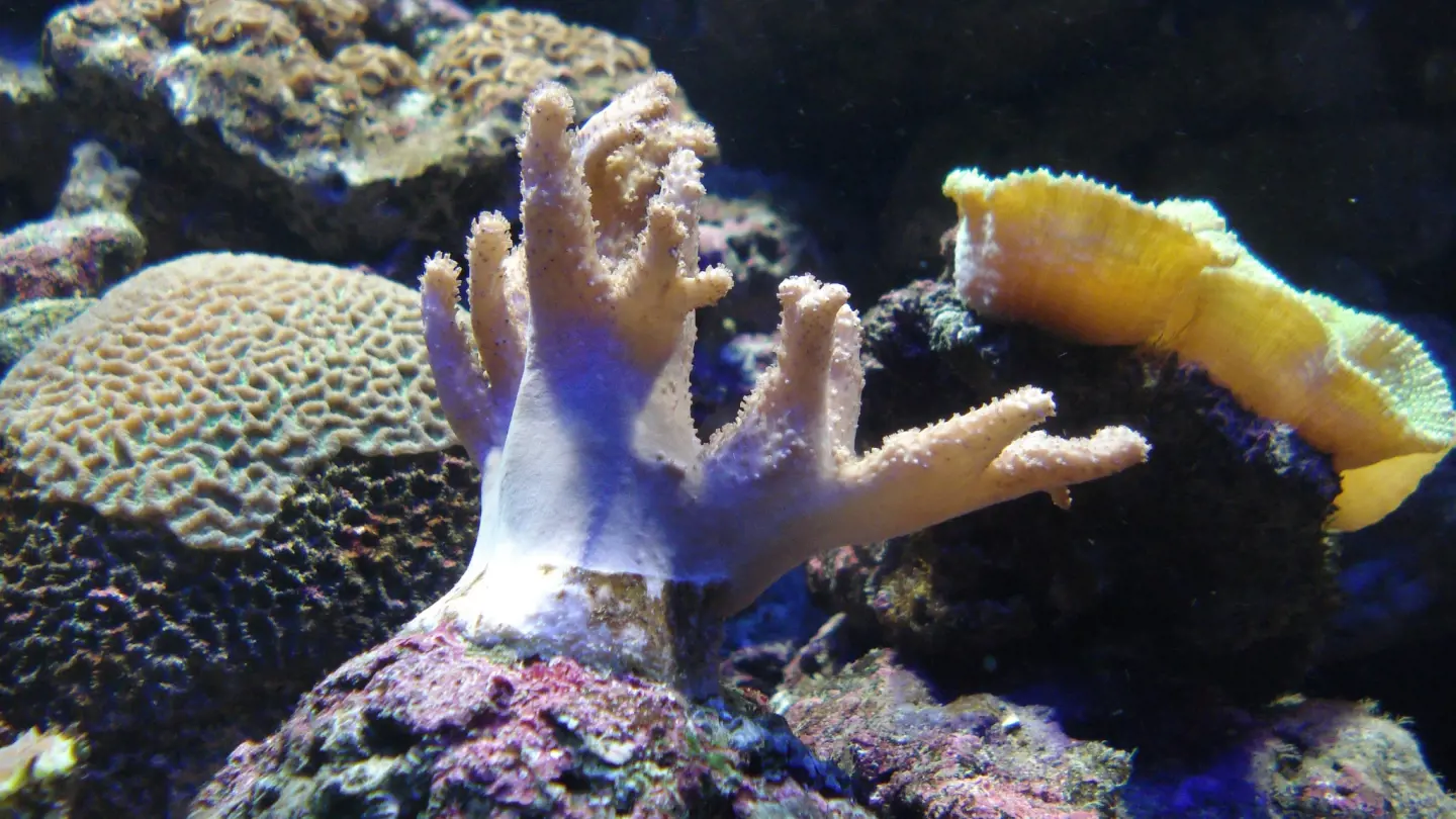 Underwater World Langkawi Ticket - Photo 29