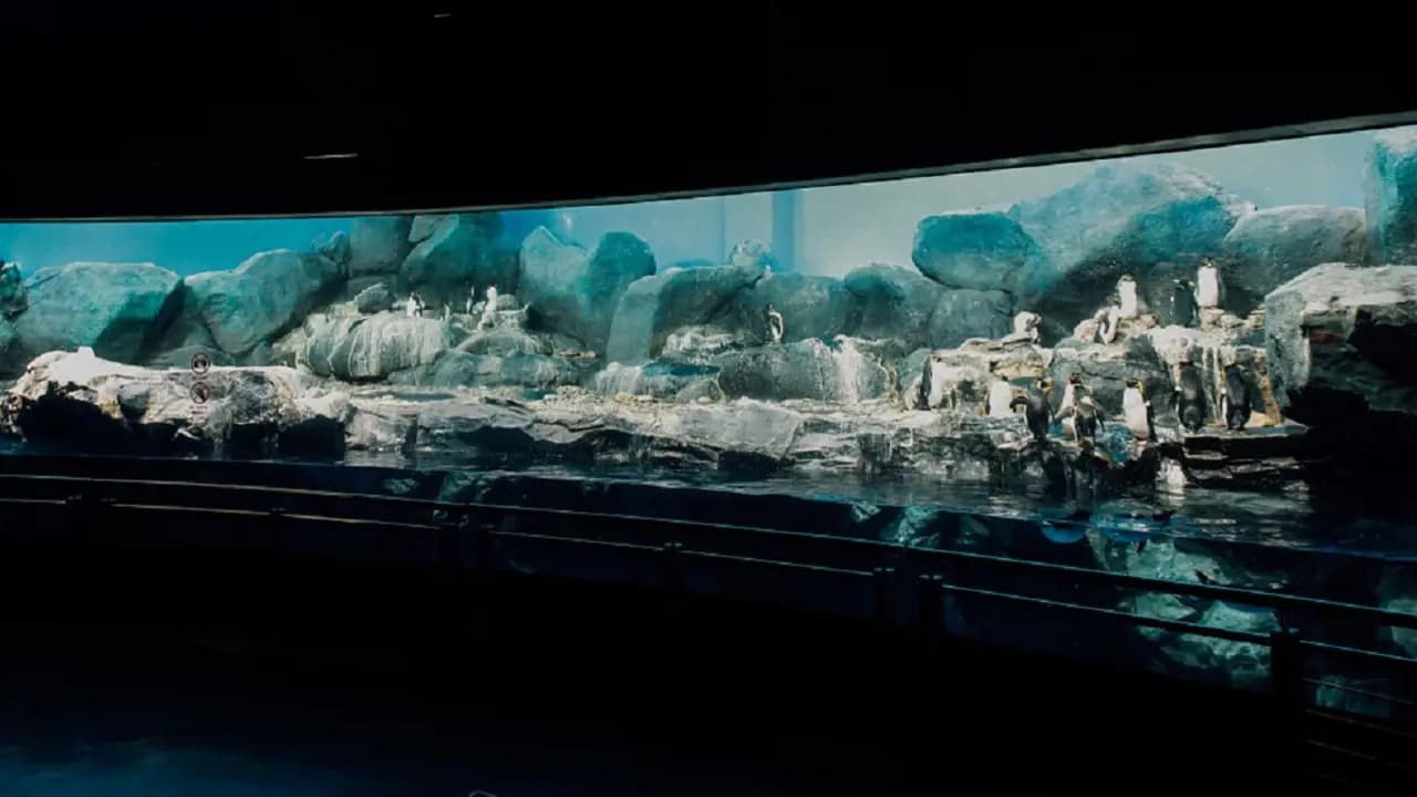 Underwater World Langkawi Ticket - Photo 19