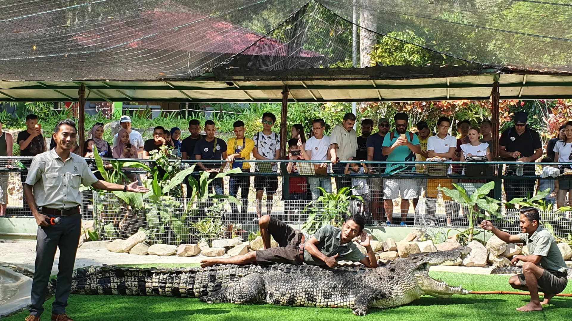 Crocodile Adventureland Langkawi - Photo 24
