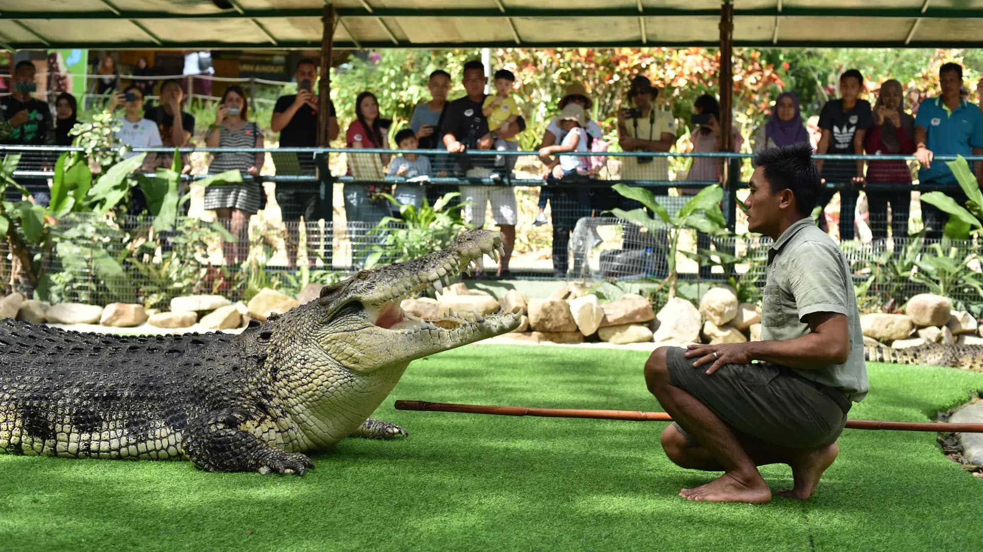 Crocodile Adventureland Langkawi - Photo 26