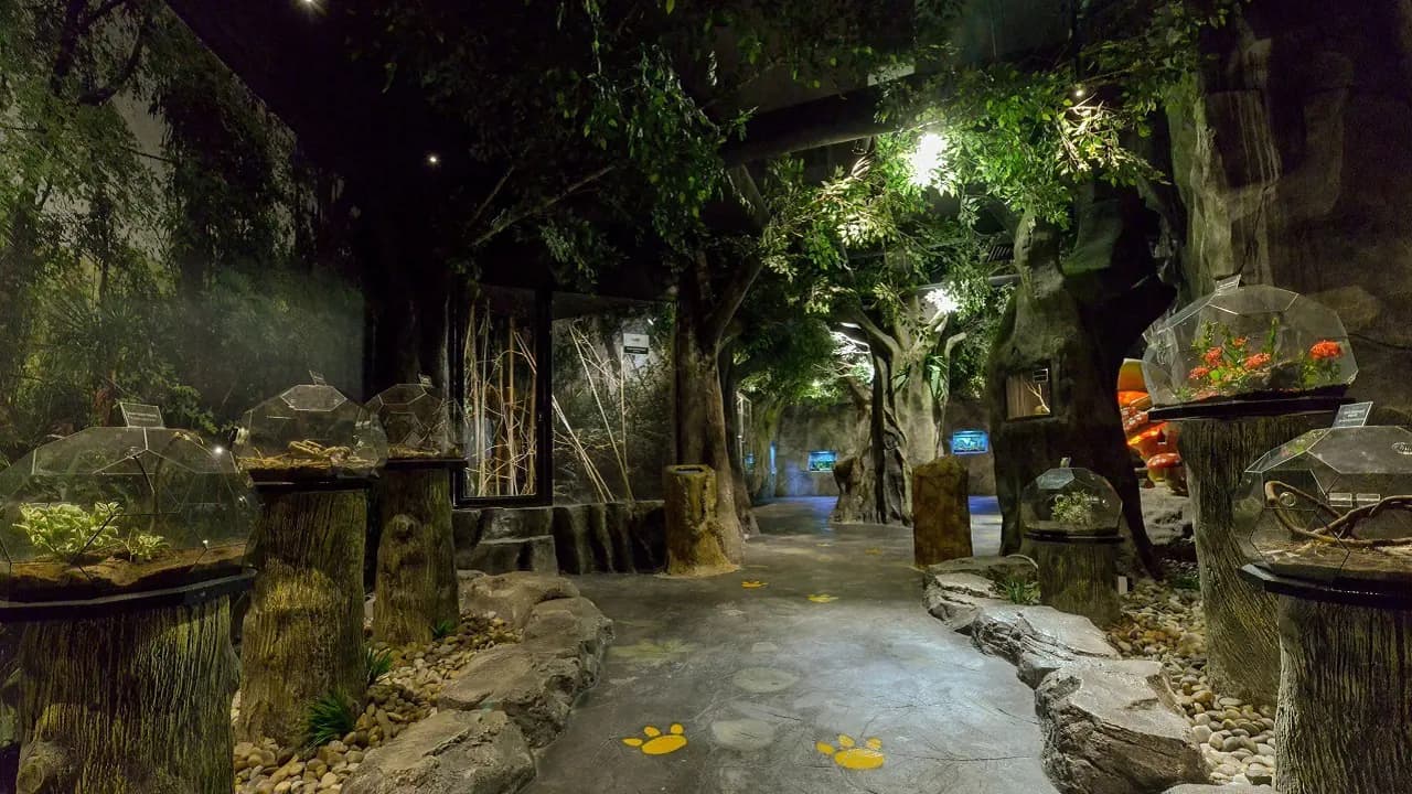 Entopia by Penang Butterfly Farm Ticket - Photo 32