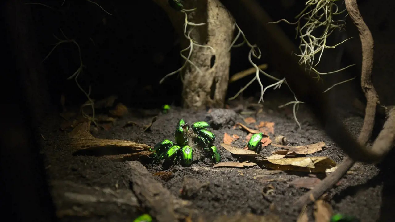 Entopia by Penang Butterfly Farm Ticket - Photo 40