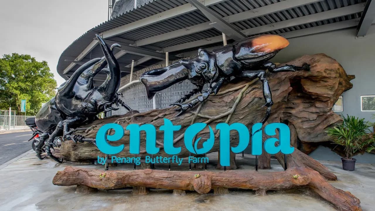 Entopia by Penang Butterfly Farm Ticket - Photo 21