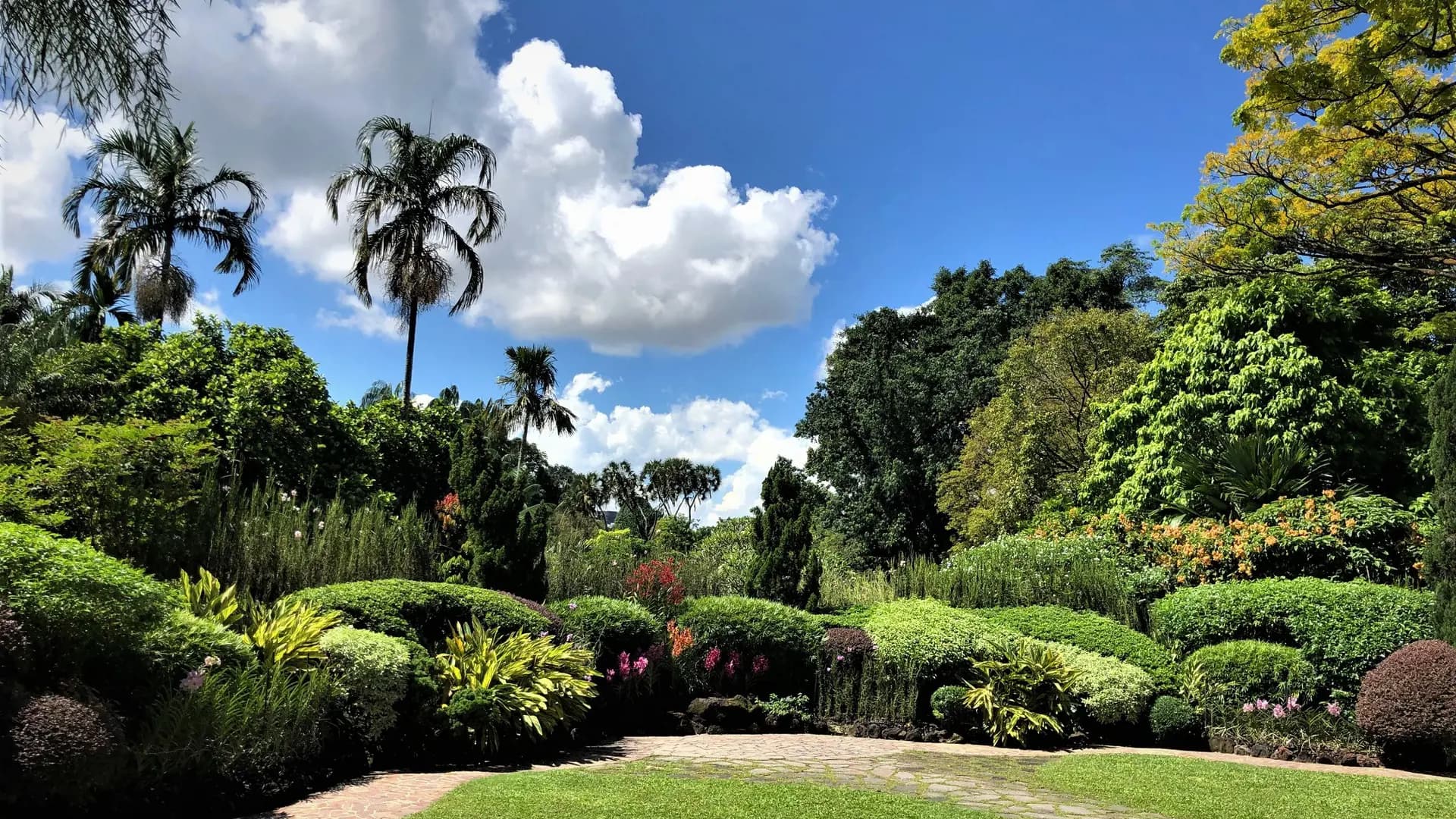National Orchid Garden Ticket - Photo 18