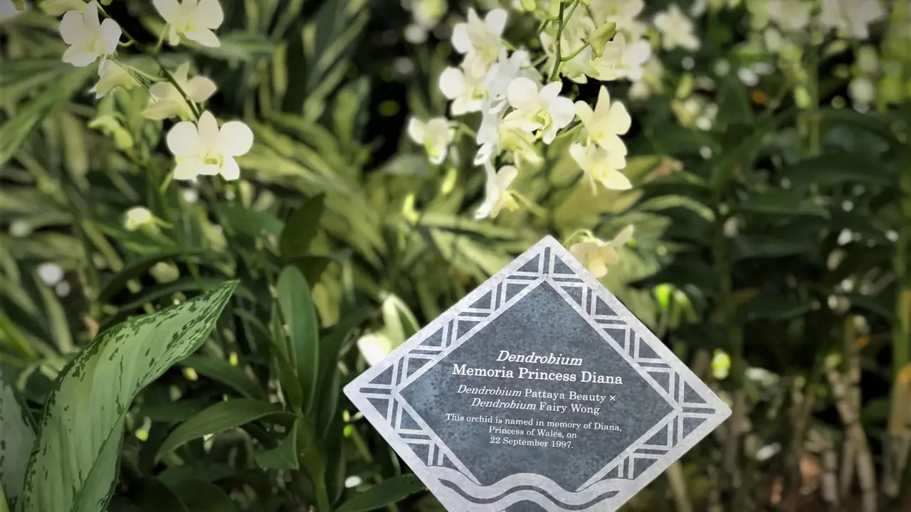 National Orchid Garden Ticket - Photo 3