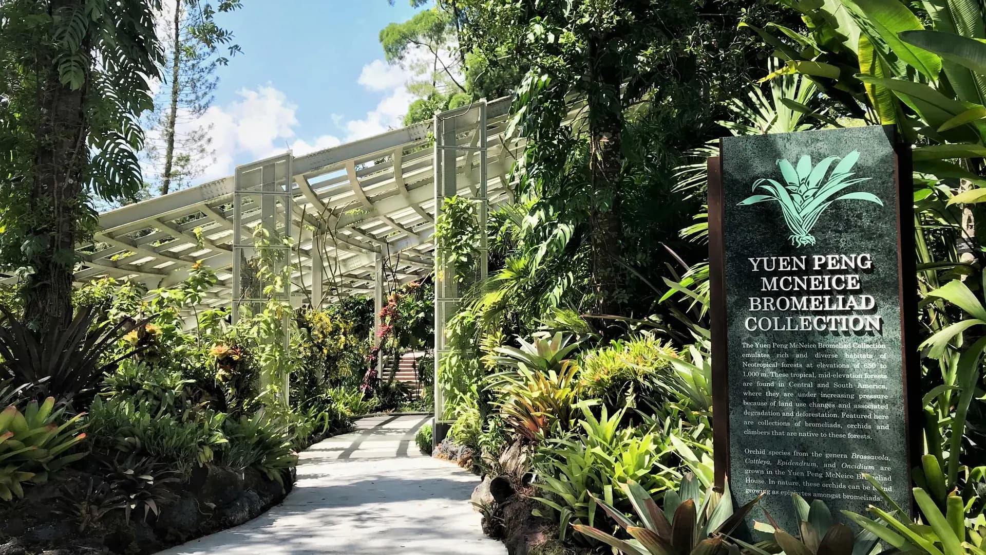 National Orchid Garden Ticket - Photo 22