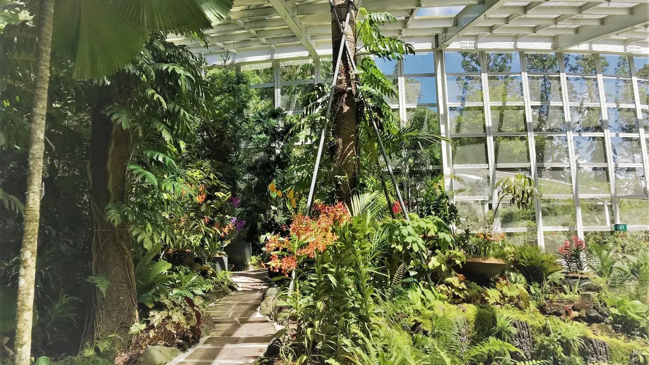 National Orchid Garden Ticket - Photo 7