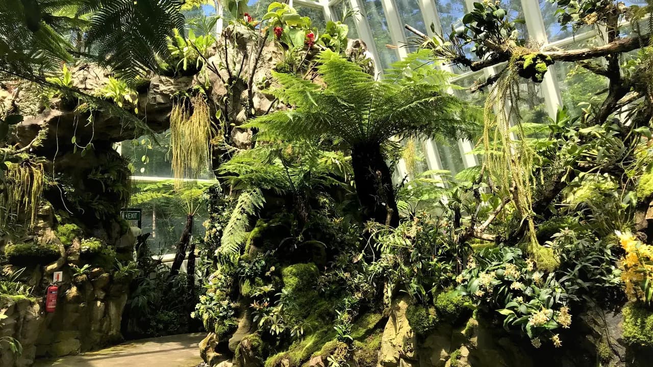 National Orchid Garden Ticket - Photo 12