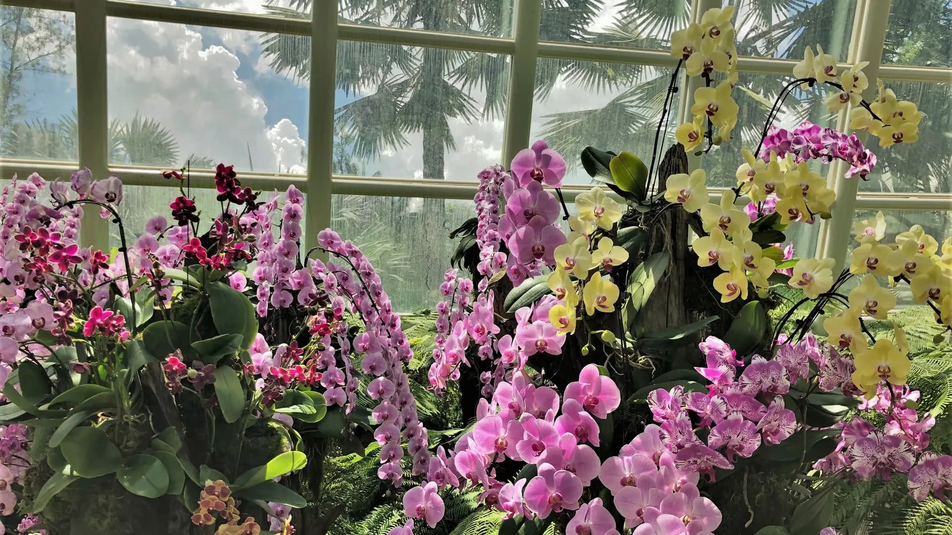 National Orchid Garden Ticket - Photo 30