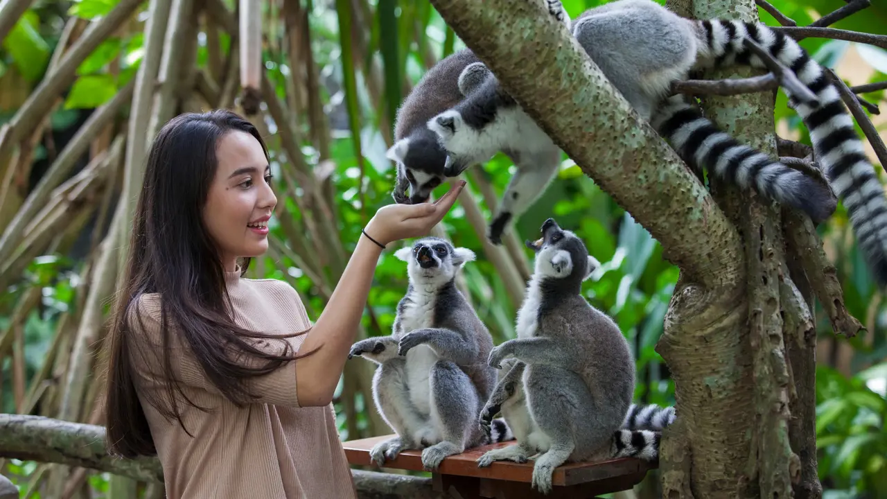 Bali Zoo Ticket - Photo 3
