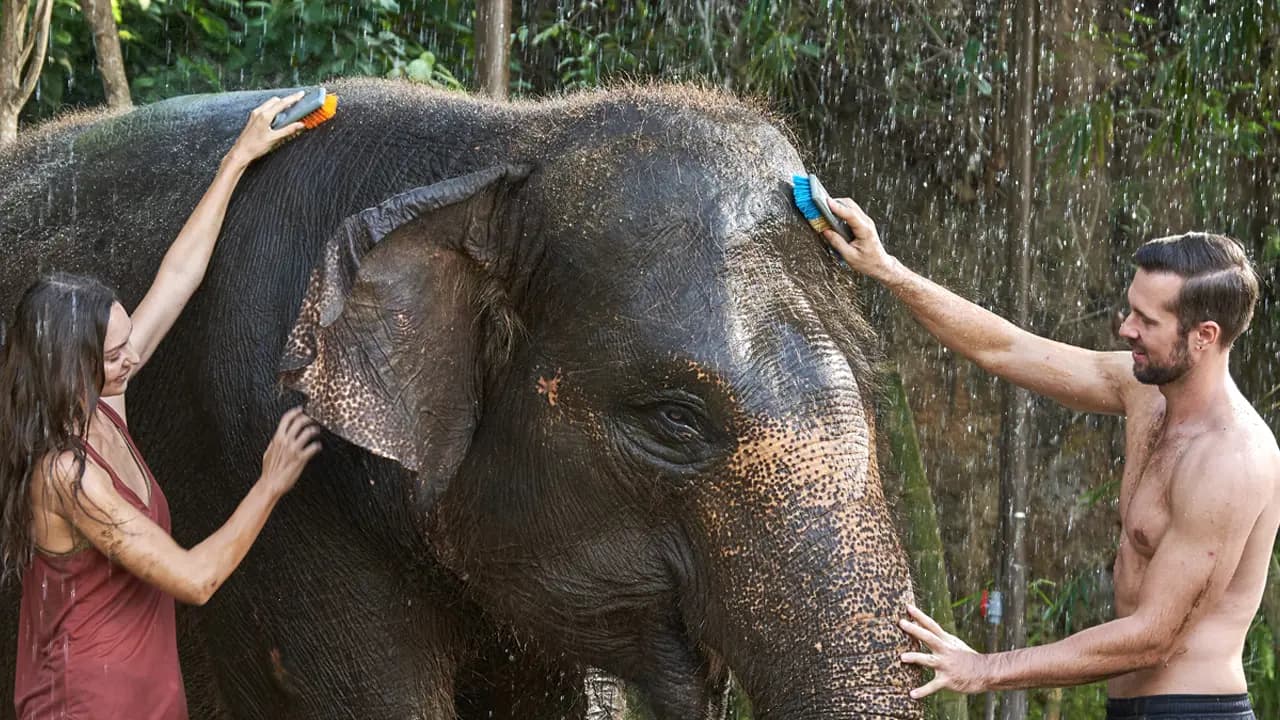 Bali Zoo Ticket - Photo 4