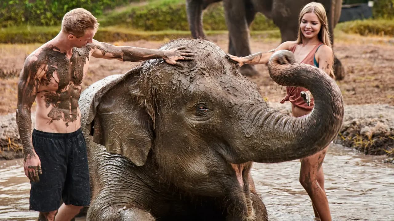 Bali Zoo Ticket - Photo 5