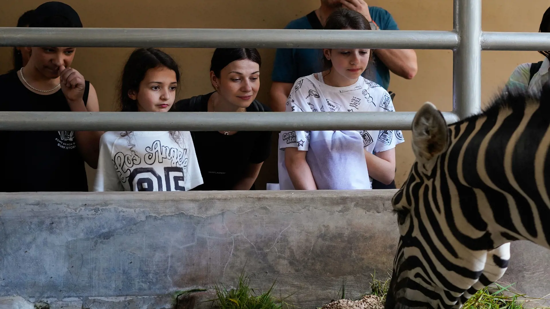 Bali Zoo Ticket - Photo 22